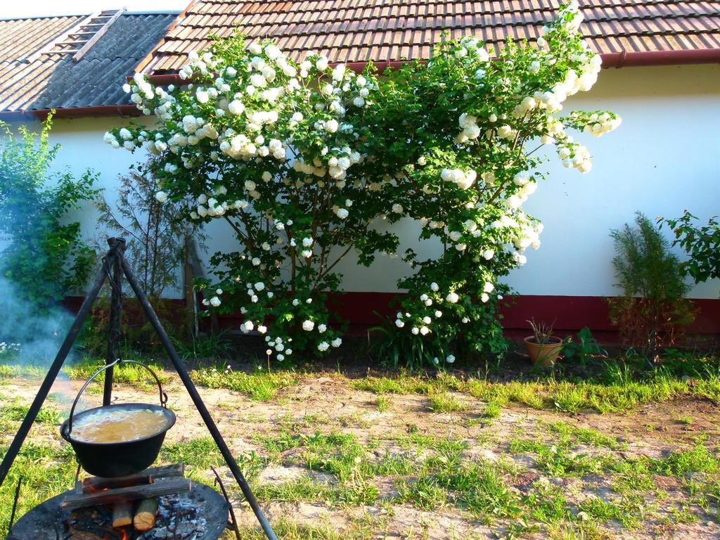 Hajdu Lovasudvar Hortobágy Extérieur photo